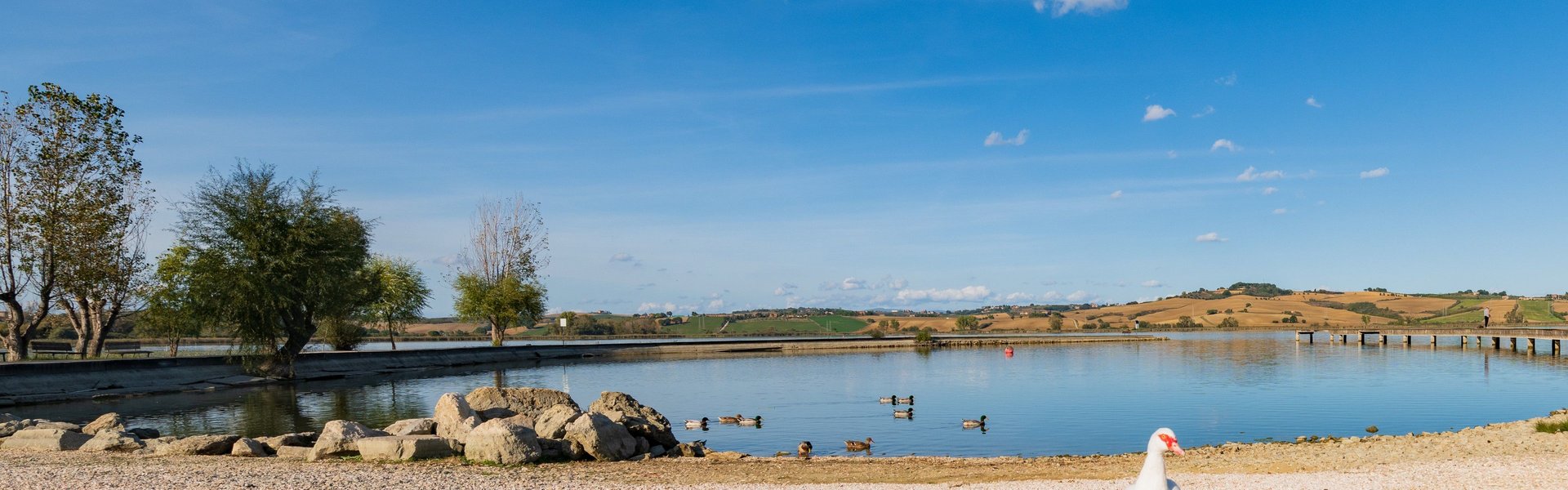 Lago di Chiusi