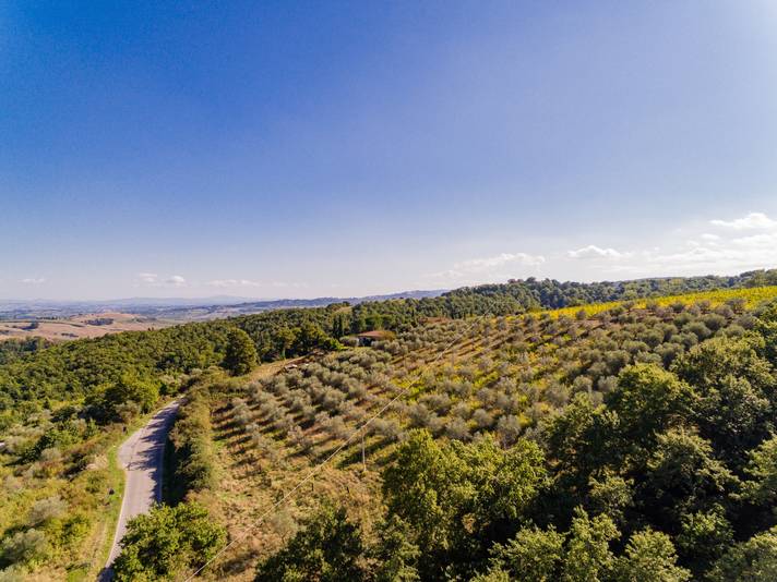 Vista da La Vigna