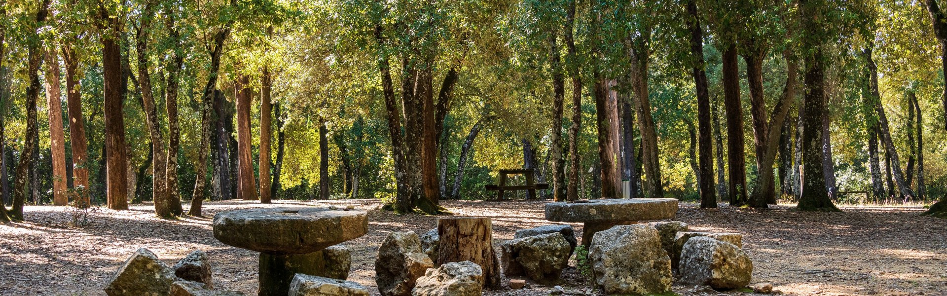 Parco Il Tondo